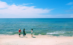 白砂ビーチ＠沖縄本島ダイビングツアー