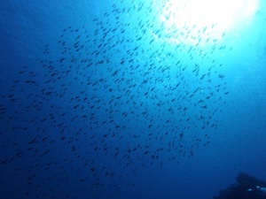 青い水、太陽