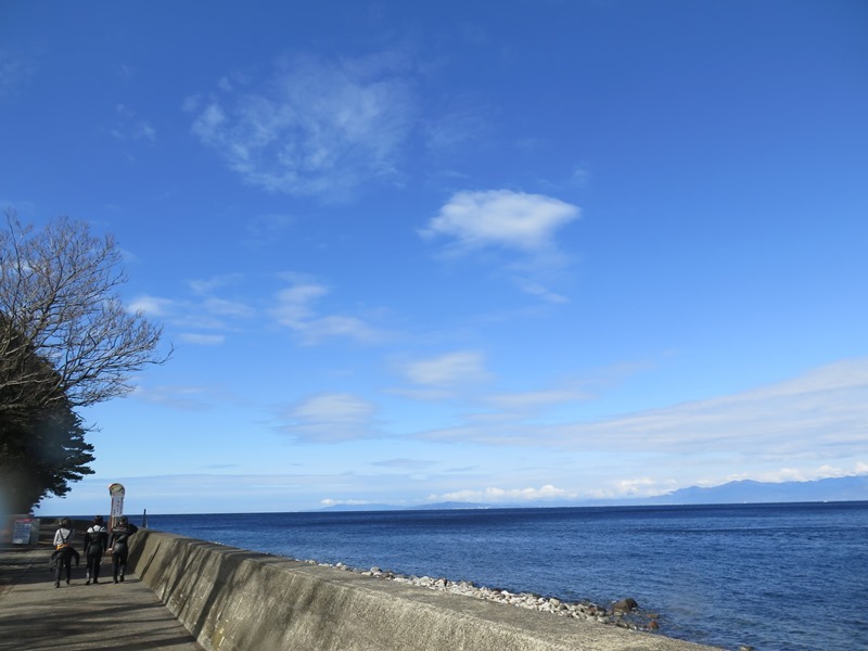 井田の海