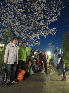 お風呂の前の桜の木で