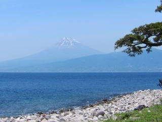 富士山＠大瀬崎