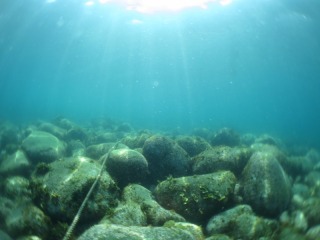 浅場は綺麗