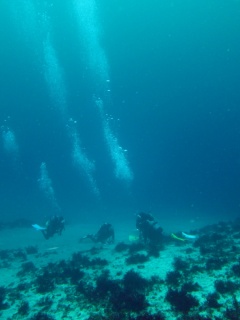 水深２５ｍは透明度も２５ｍ