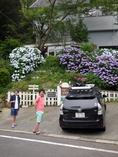 紫陽花と男たち