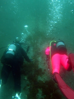 海洋実習ミニダイブ