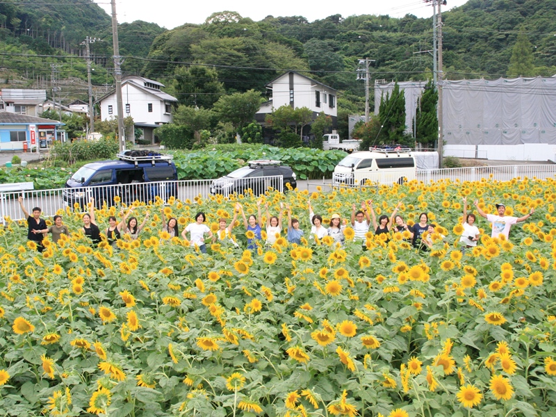 ヒマワリに囲まれて