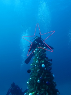 海中クリスマスツリー＠伊豆海洋公園