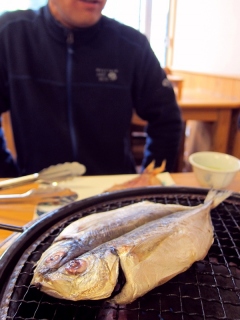 アジの干物＠西伊豆・海産亭