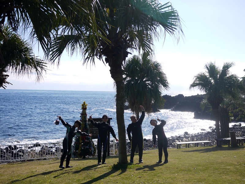 クリスマスツリー＠伊豆海洋公園