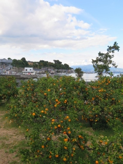 季節の風景