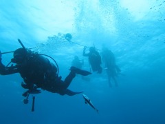 ＡＯＷチーム、流れの中エントリー