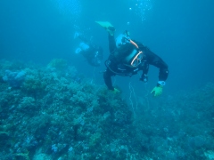 浮力をとって