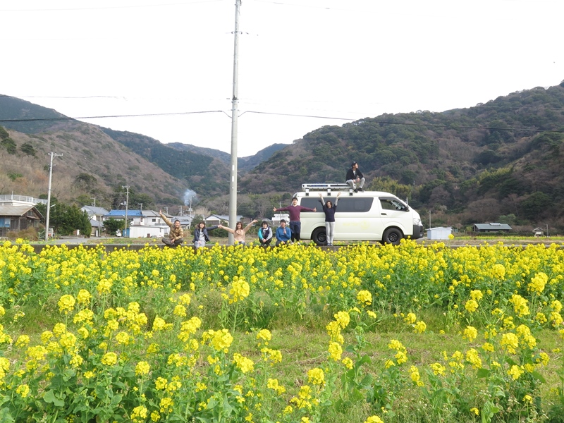 菜の花畑で