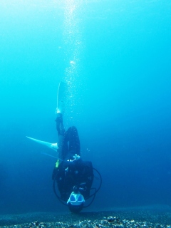 冬の海の透明度