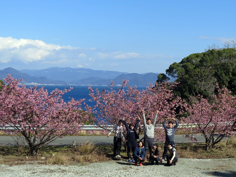 河津桜の前で。