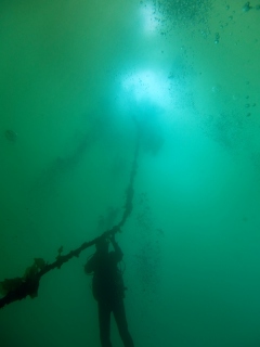 流氷ダイブみたい