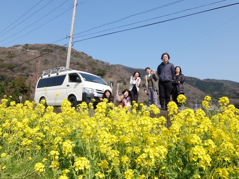 菜の花畑で