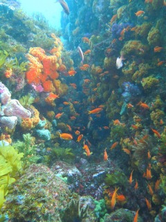 浅場が綺麗だぁ