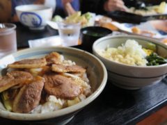 鴨葱丼と冷したぬき