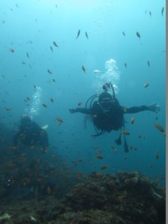 魚に感動、ササキさん