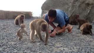 大丈夫、俺も仲間だ