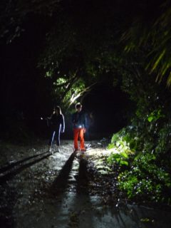 夜の森探検