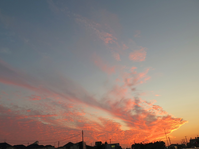 夕陽がきれい