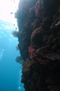 浅場がきれい