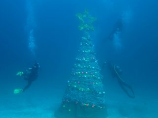 クリスマスツリー＠伊豆海洋公園