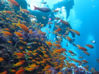 浅場がきれい