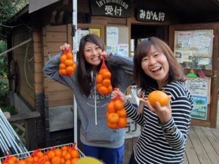 江之浦みかん畑＠日帰りダイビングの寄り道