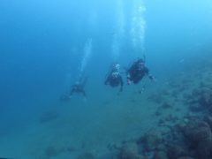 浮力をとって行こう