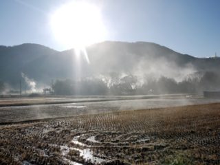 朝霧＠修善寺