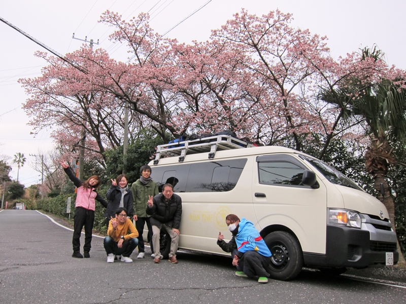 河津桜＠伊豆海洋公園