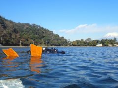 べた凪の大瀬崎湾内