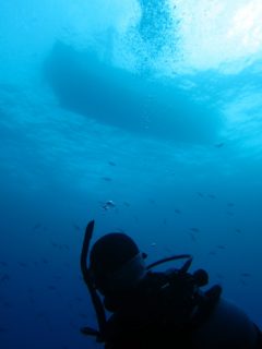 透明度抜群の田子の海