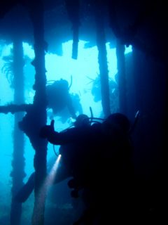 熱海沈船ダイビングツアー