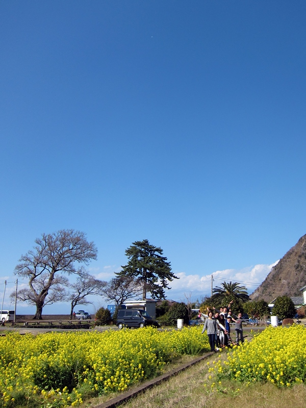 井田の菜の花畑にて。