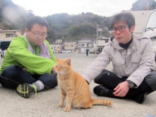 川奈ビーチの猫