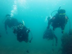 週末日帰り初心者ツアー＠江之浦ビーチ