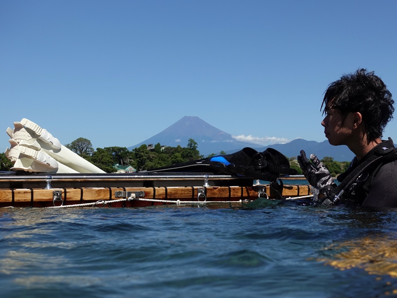 大瀬崎からの富士山＠日帰りダイビングツアー