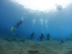 講習の様子をこっそり隠し撮り