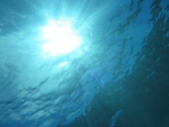 9.23　太陽光が踊ってる