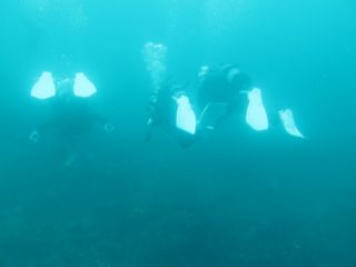 後ろから見たら似てる3人