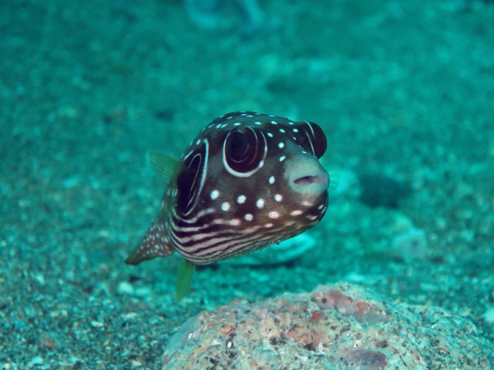 はいフィニッシュ　　　　　　　　byひろこ