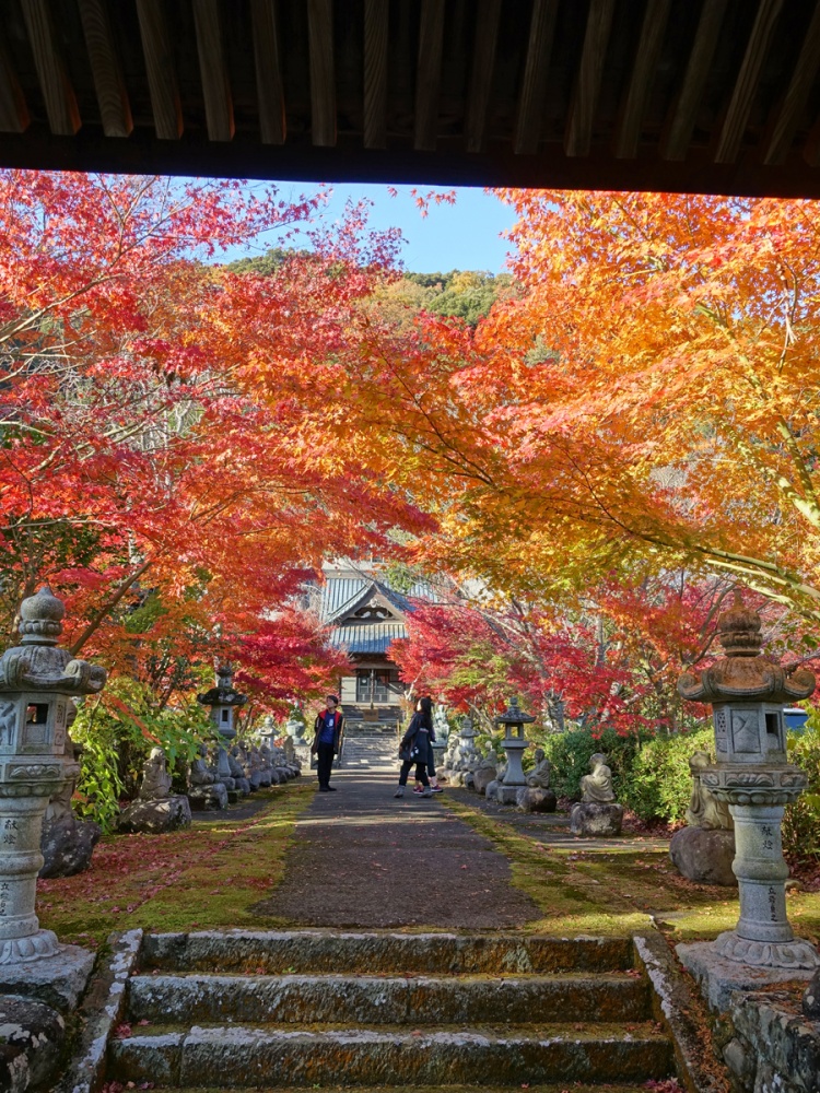 新たに発見した紅葉スポット