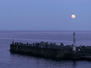 江之浦漁港と月＠日帰り伊豆ダイビングツアー