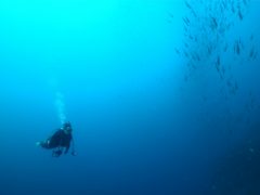 青の海