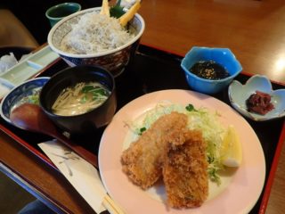 アジフライ、シラス丼