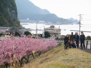 河津桜がきれいだね